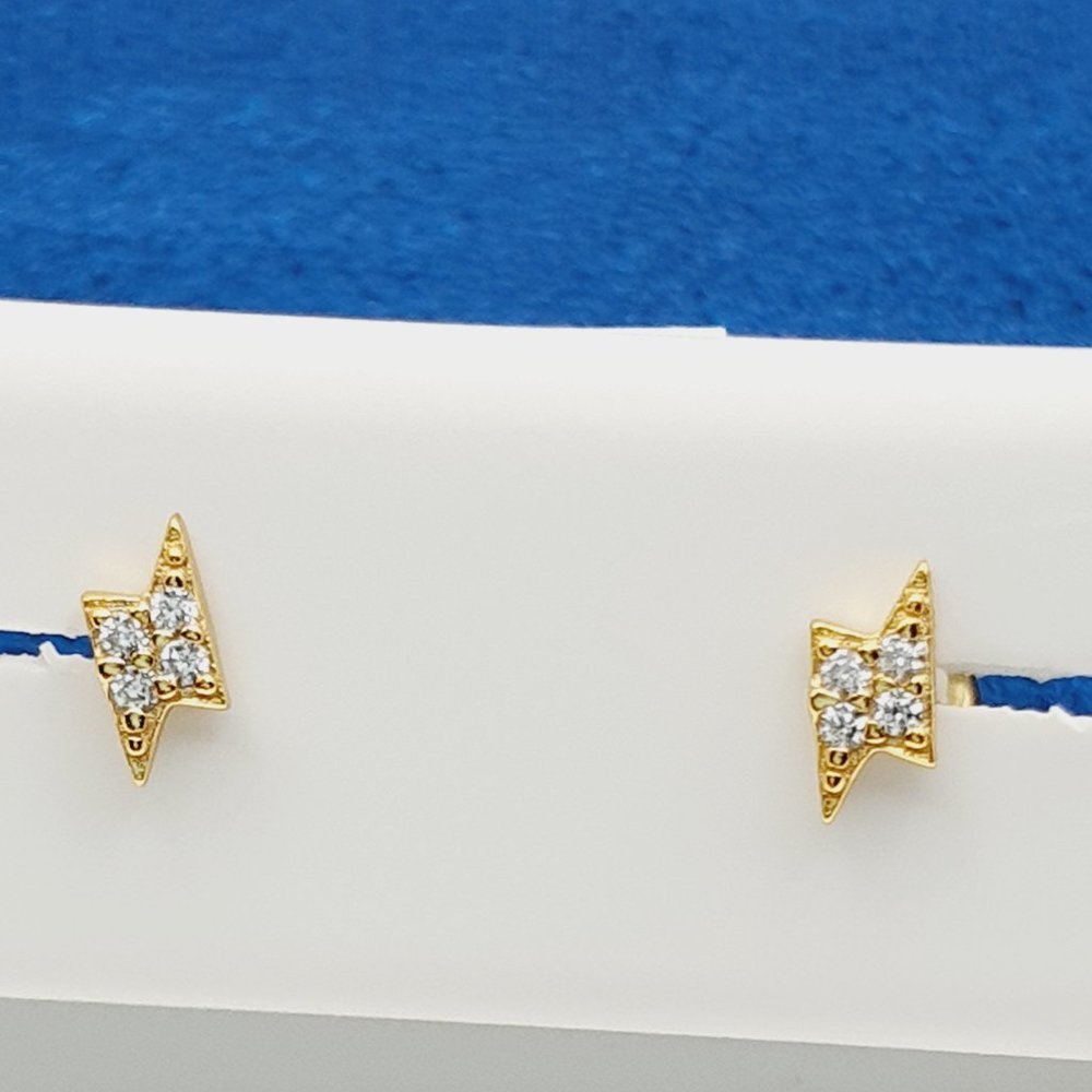 "14K Gold Plated 925 Sterling Silver Earrings for Women/Girls, US44025